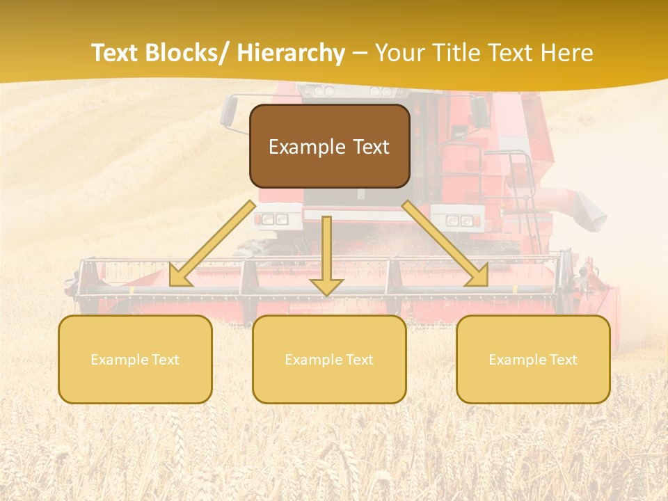 Season Rye Growth PowerPoint Template