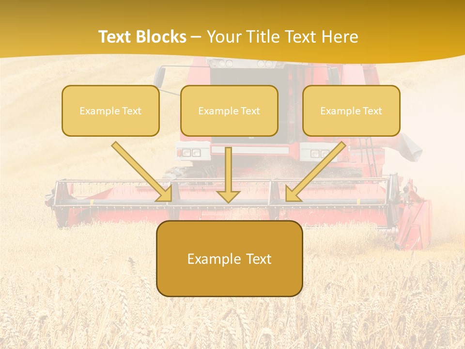 Season Rye Growth PowerPoint Template