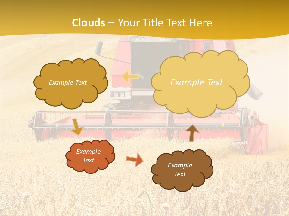 Season Rye Growth PowerPoint Template