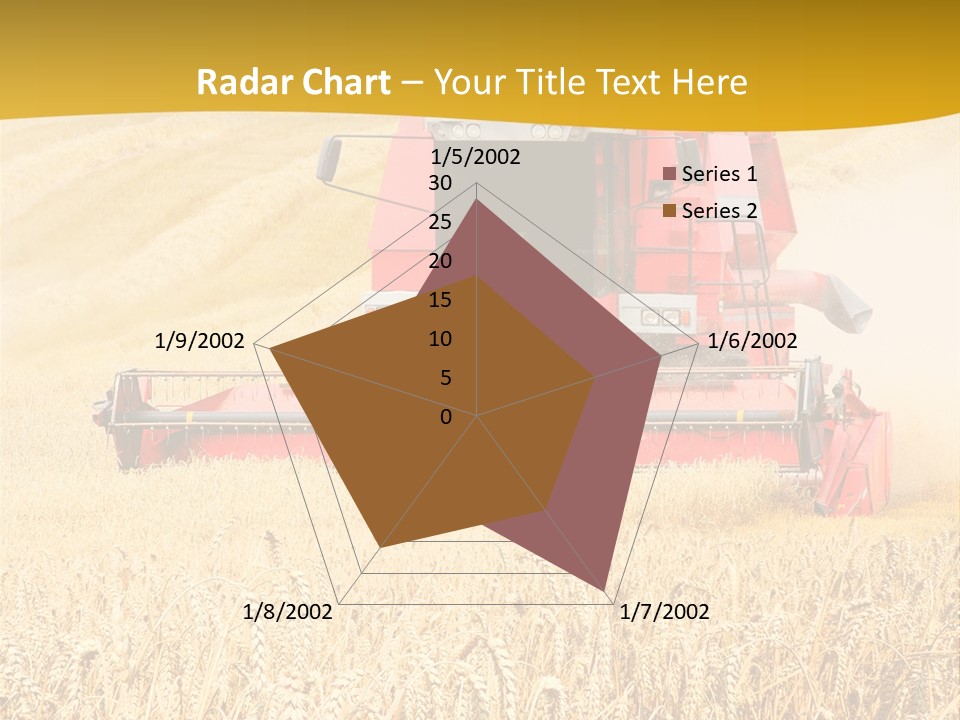 Season Rye Growth PowerPoint Template