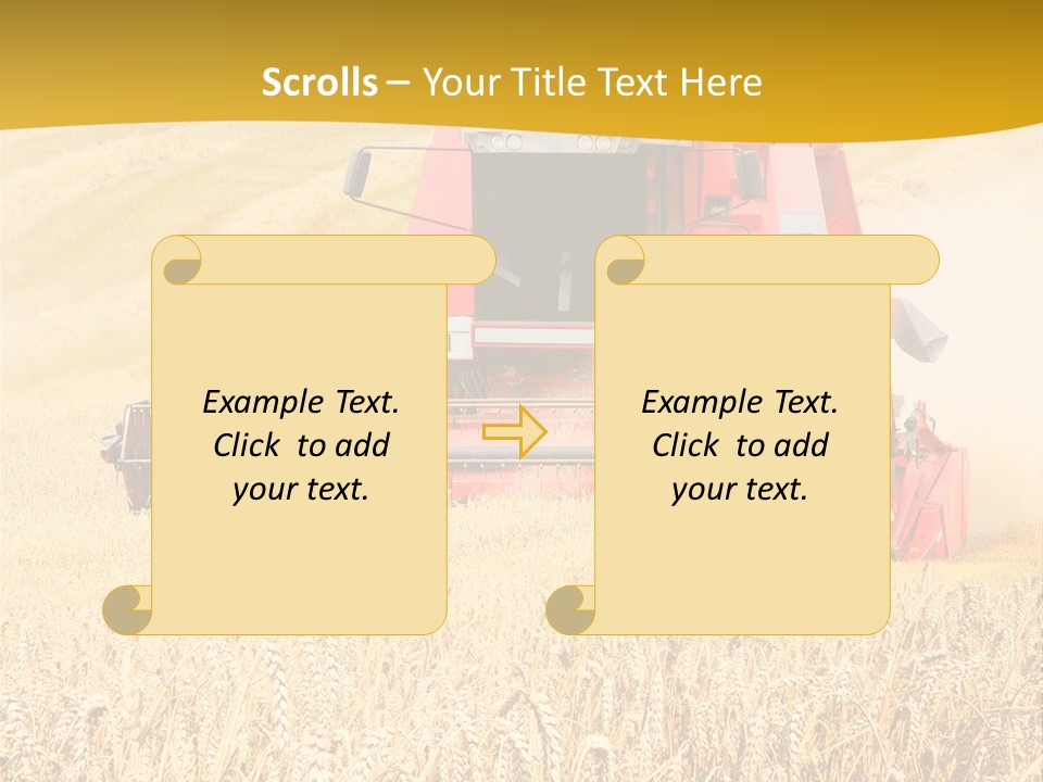 Season Rye Growth PowerPoint Template