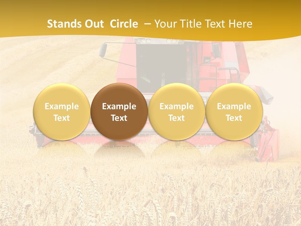 Season Rye Growth PowerPoint Template