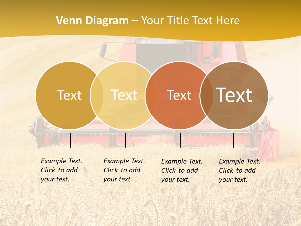 Season Rye Growth PowerPoint Template