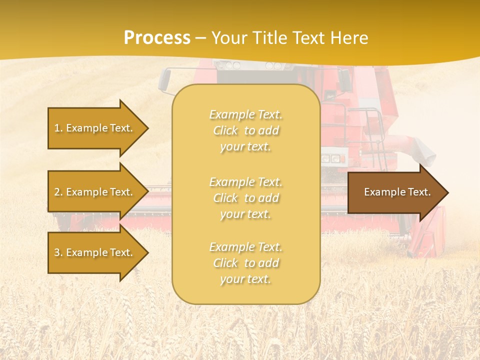 Season Rye Growth PowerPoint Template
