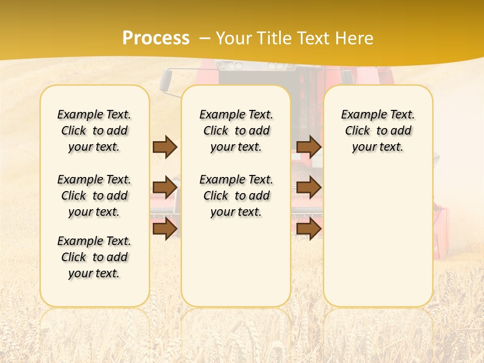 Season Rye Growth PowerPoint Template
