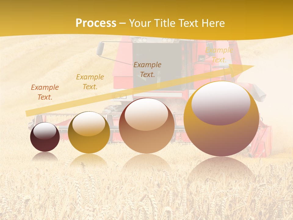 Season Rye Growth PowerPoint Template