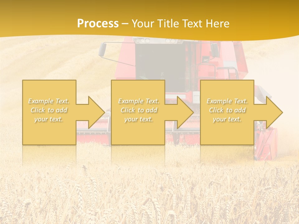 Season Rye Growth PowerPoint Template