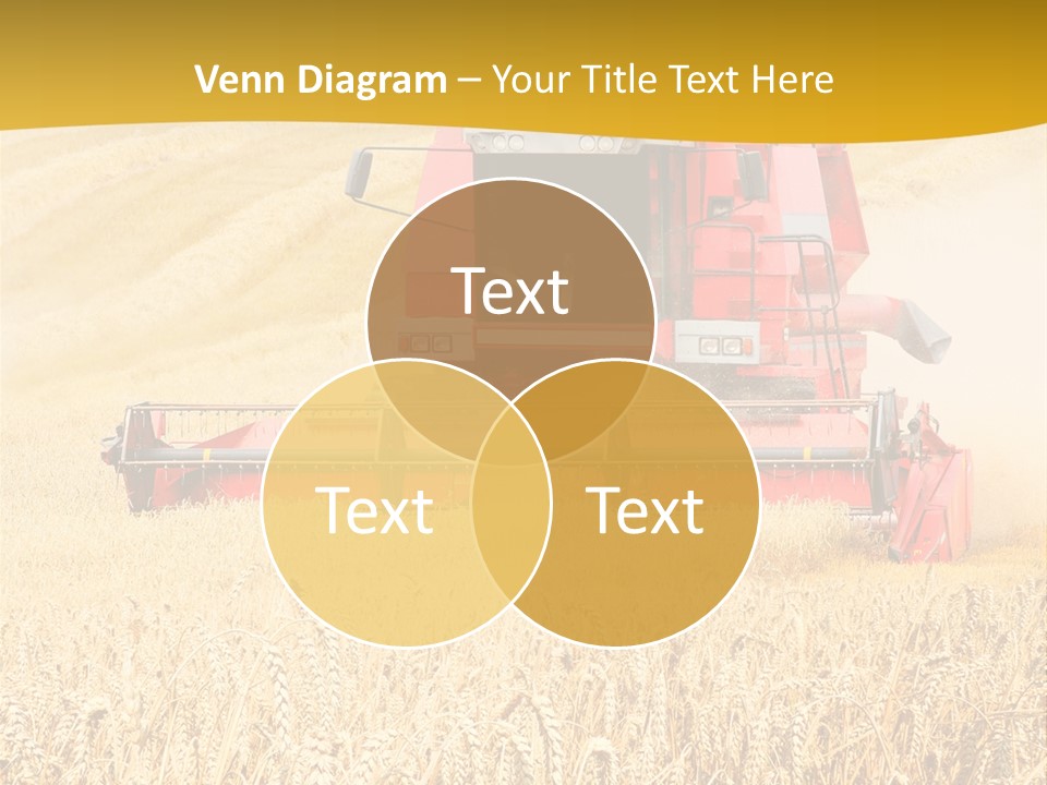 Season Rye Growth PowerPoint Template