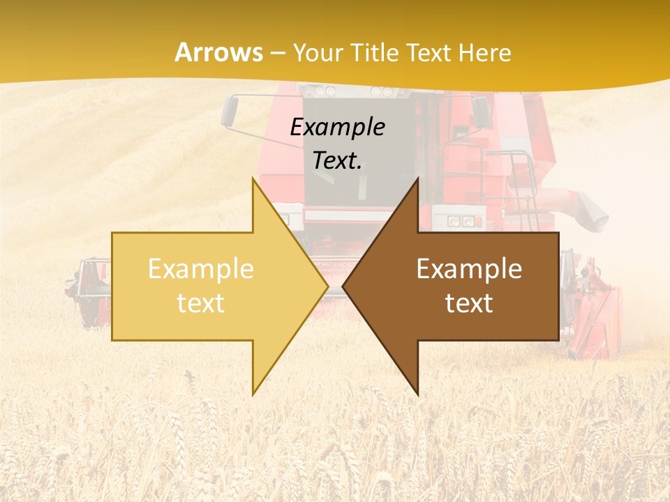 Season Rye Growth PowerPoint Template