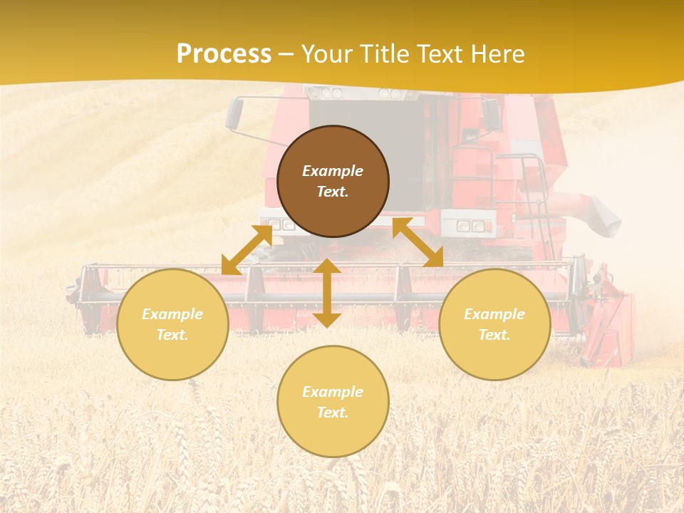 Season Rye Growth PowerPoint Template
