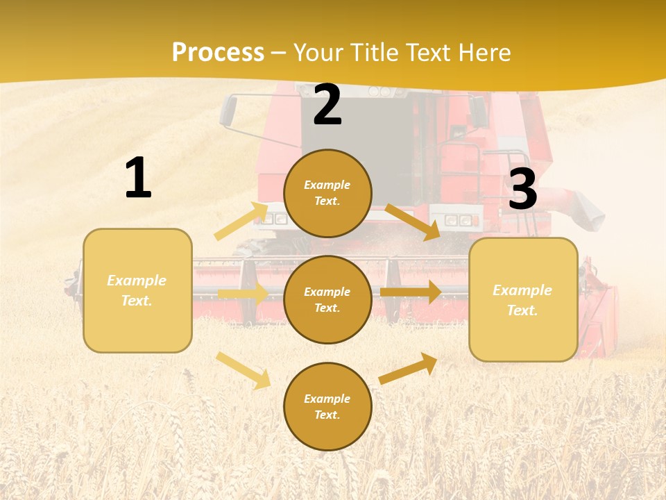 Season Rye Growth PowerPoint Template