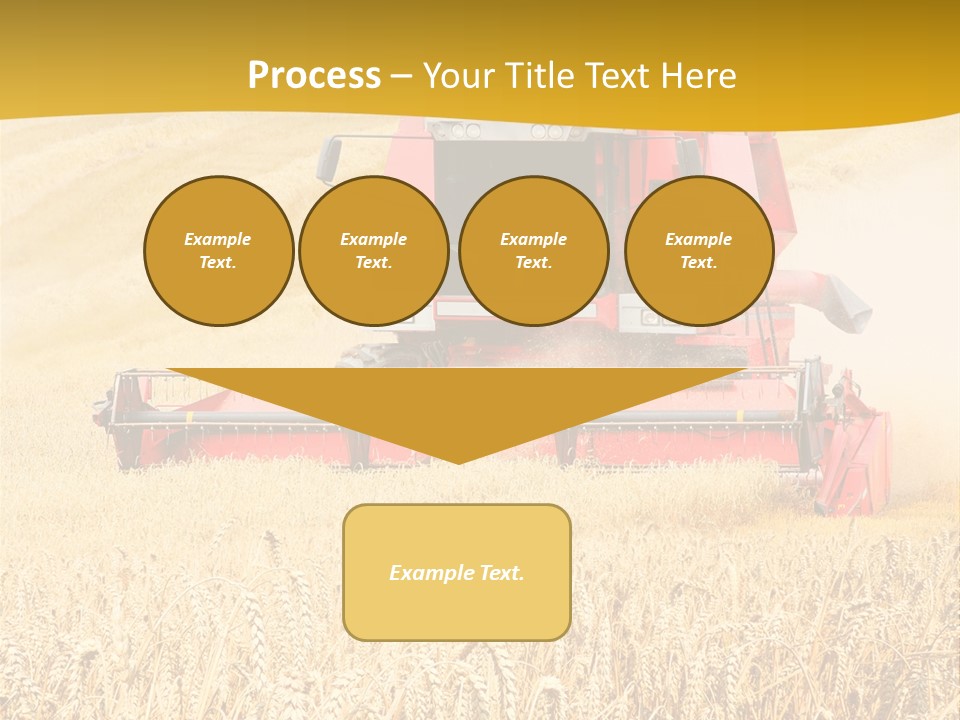 Season Rye Growth PowerPoint Template