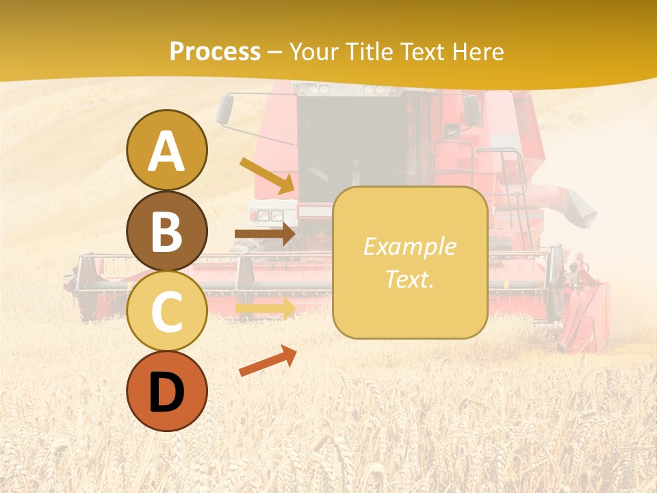 Season Rye Growth PowerPoint Template