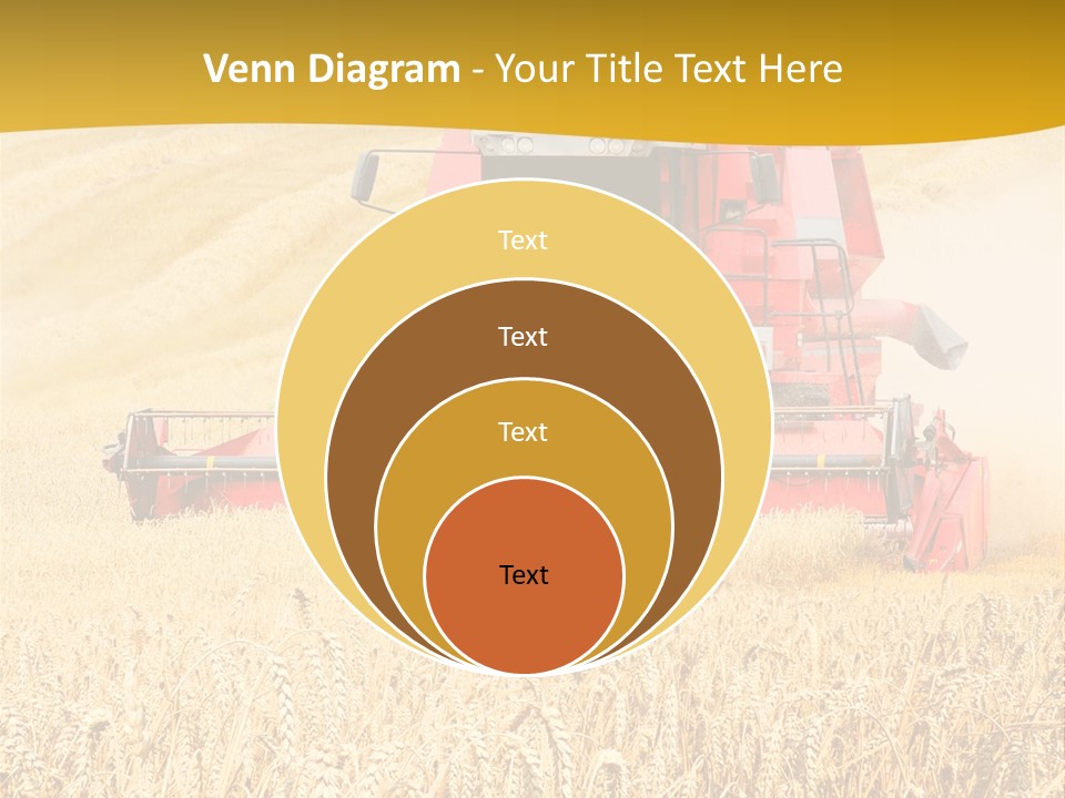 Season Rye Growth PowerPoint Template