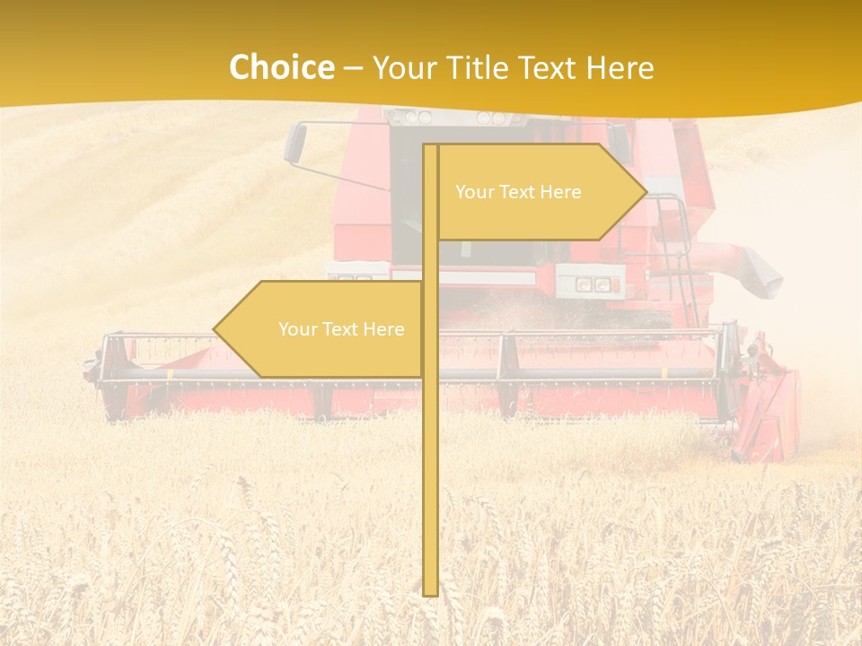 Season Rye Growth PowerPoint Template