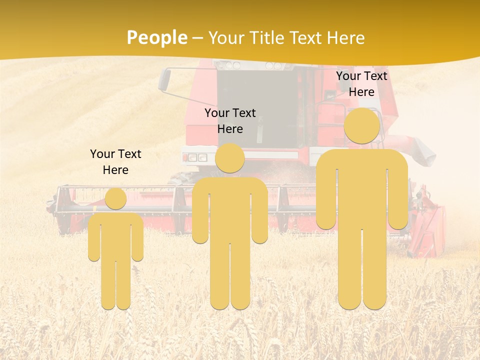 Season Rye Growth PowerPoint Template