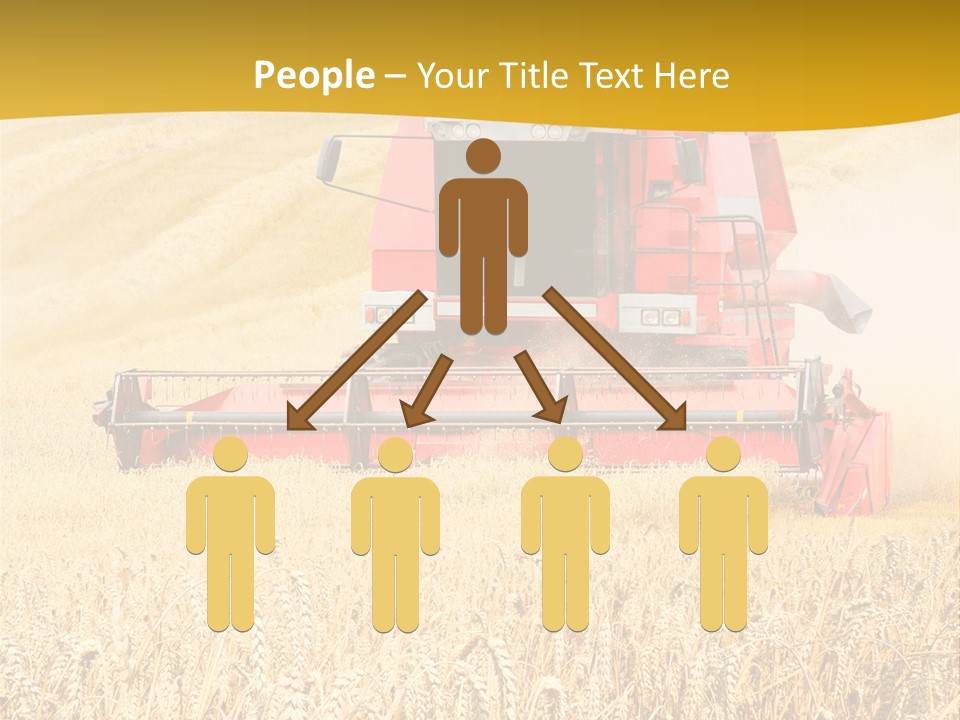 Season Rye Growth PowerPoint Template