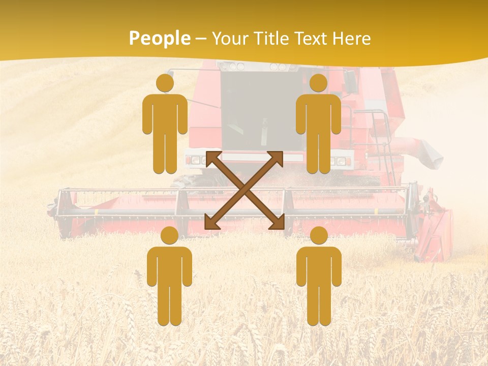 Season Rye Growth PowerPoint Template