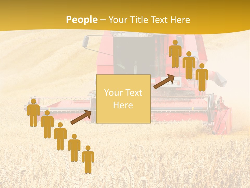 Season Rye Growth PowerPoint Template