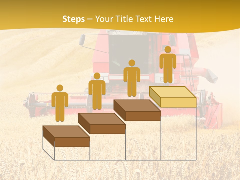 Season Rye Growth PowerPoint Template