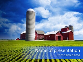 Tree Field American PowerPoint Template