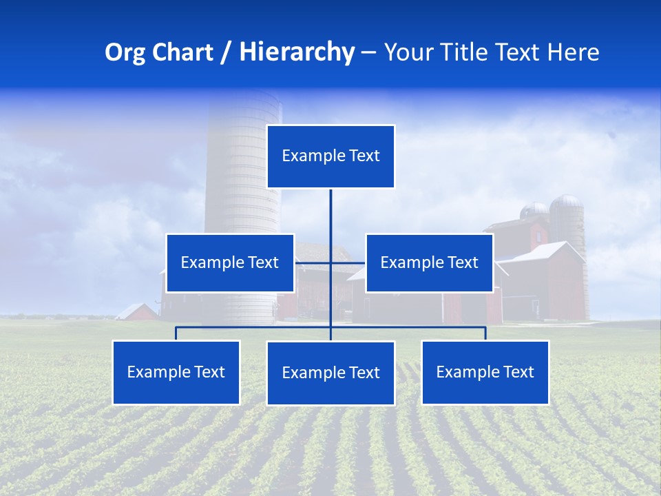 Tree Field American PowerPoint Template