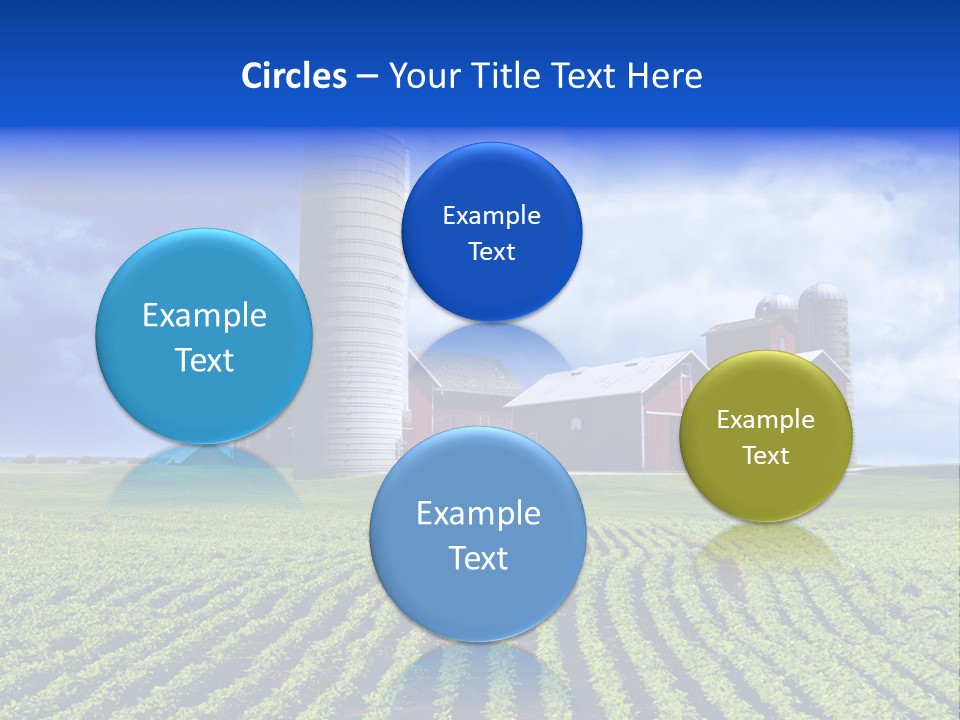 Tree Field American PowerPoint Template