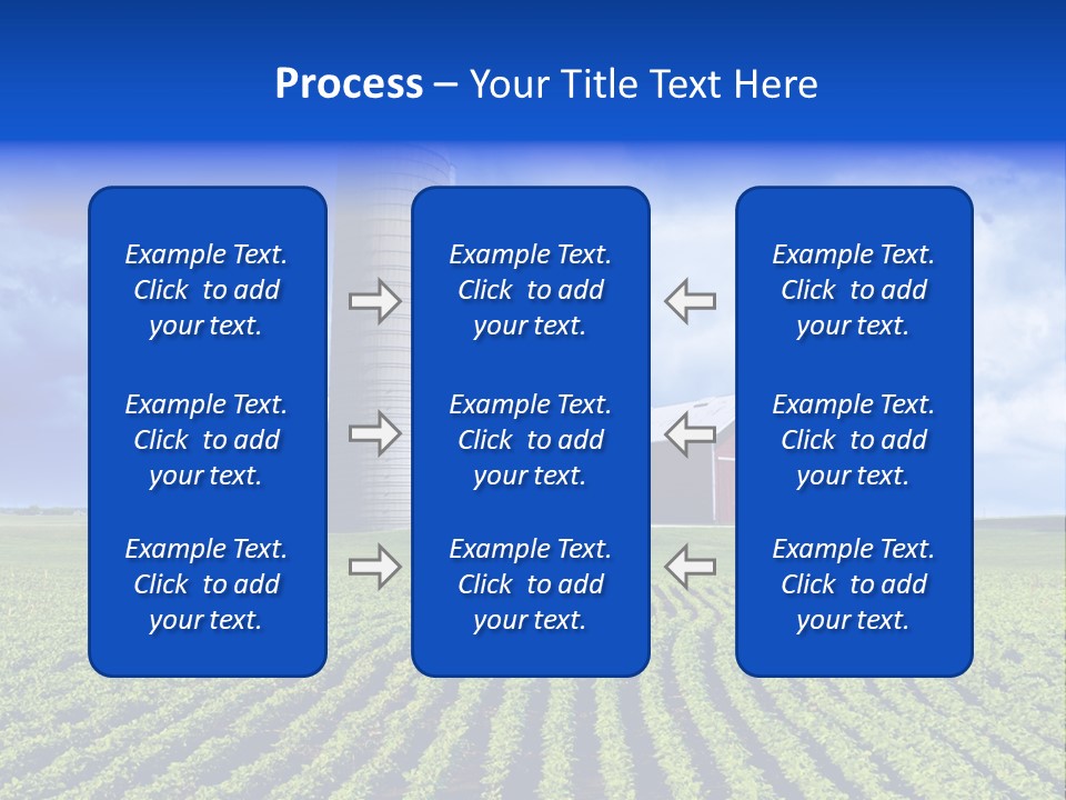 Tree Field American PowerPoint Template