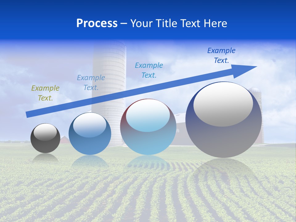 Tree Field American PowerPoint Template