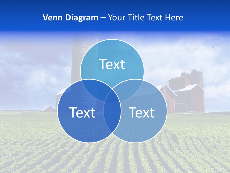 Tree Field American PowerPoint Template