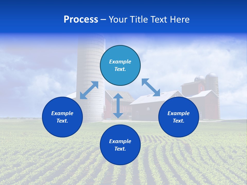 Tree Field American PowerPoint Template