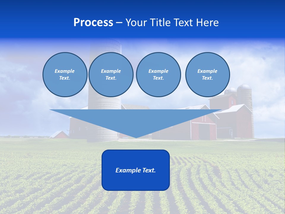 Tree Field American PowerPoint Template