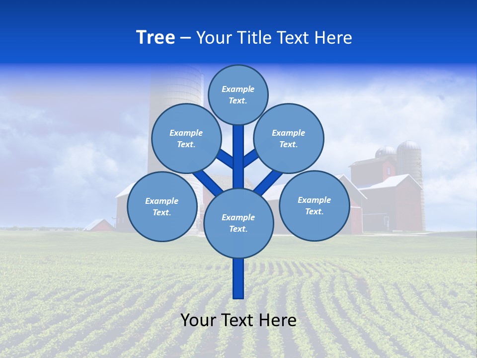 Tree Field American PowerPoint Template