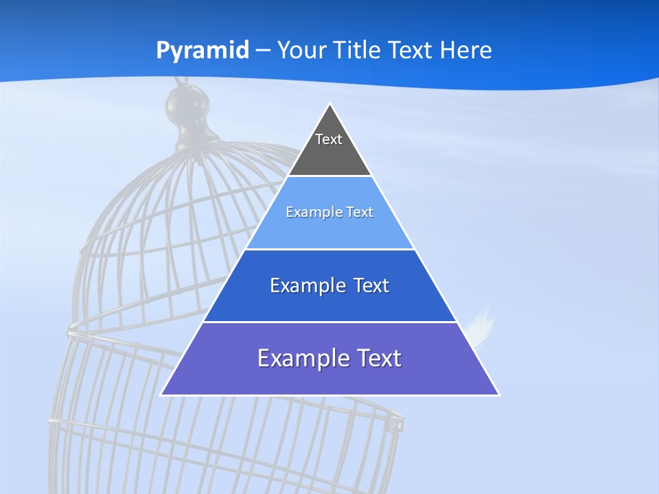 Pets Barred Detention PowerPoint Template