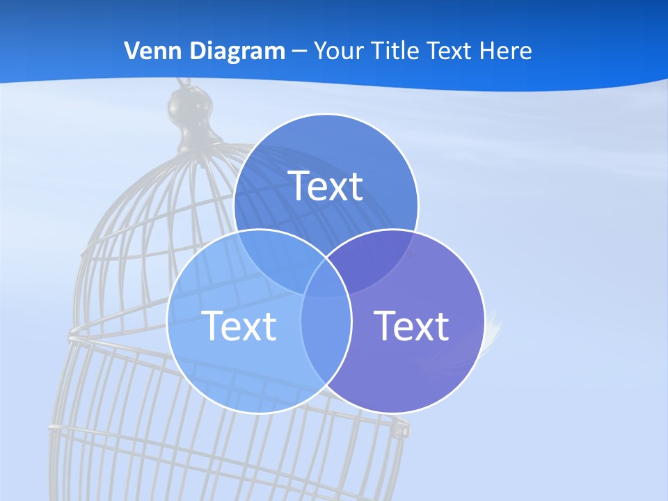 Pets Barred Detention PowerPoint Template