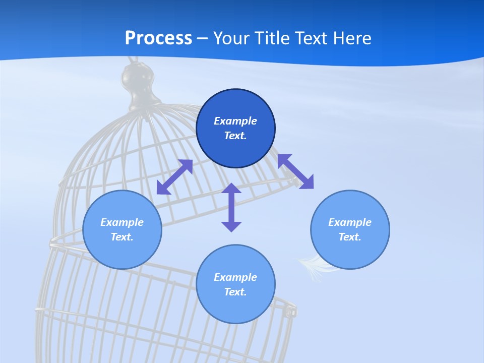 Pets Barred Detention PowerPoint Template