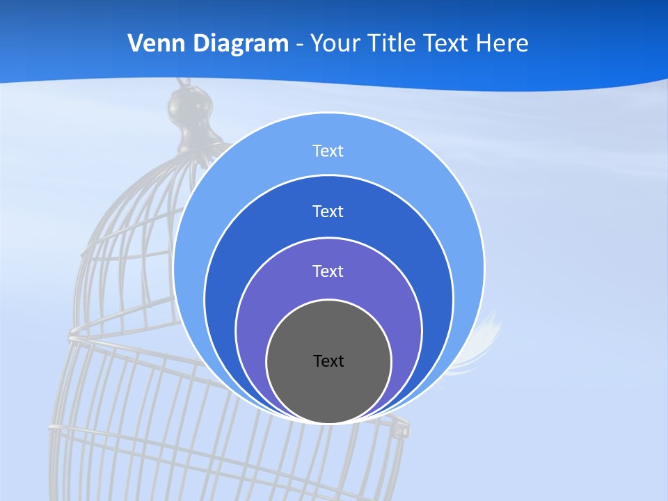 Pets Barred Detention PowerPoint Template