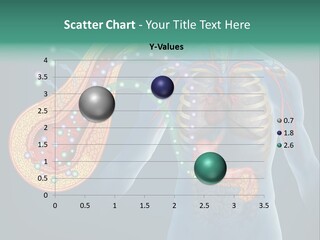 Belly Biology Weakness PowerPoint Template