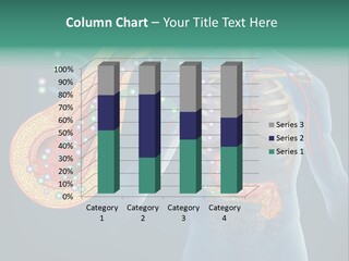 Belly Biology Weakness PowerPoint Template