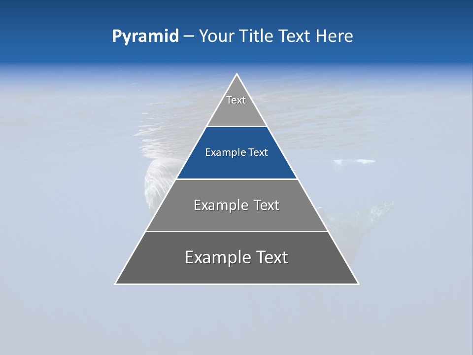 Under Salt Sri PowerPoint Template