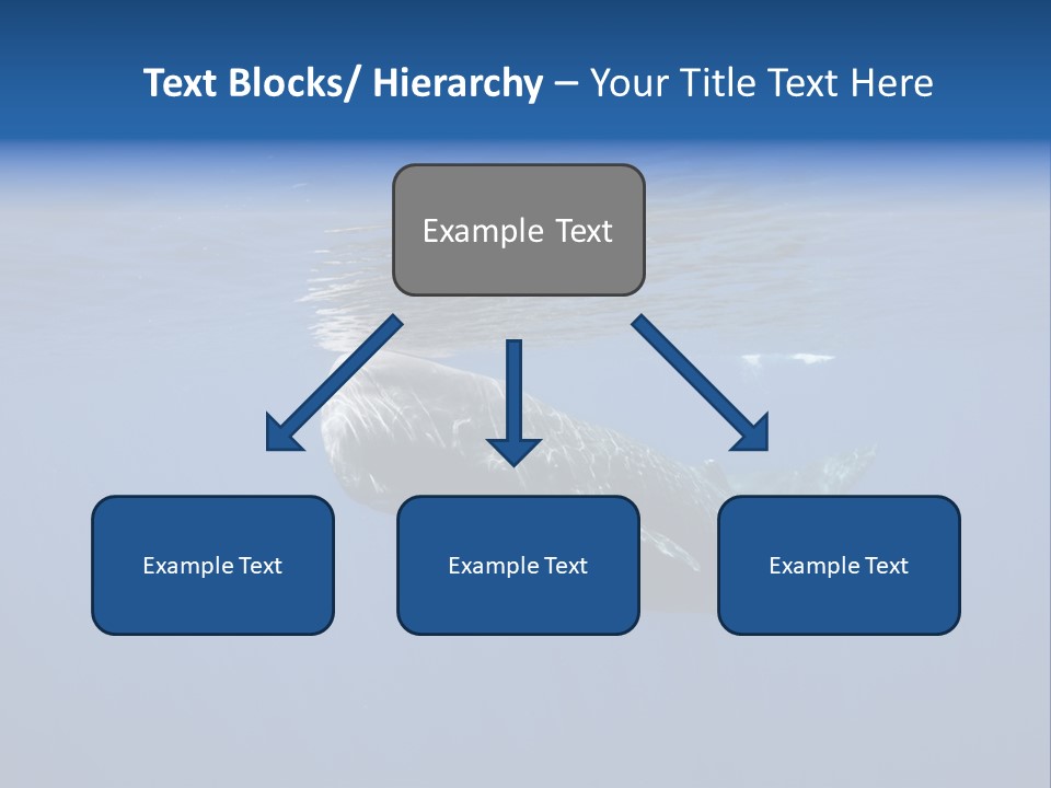 Under Salt Sri PowerPoint Template