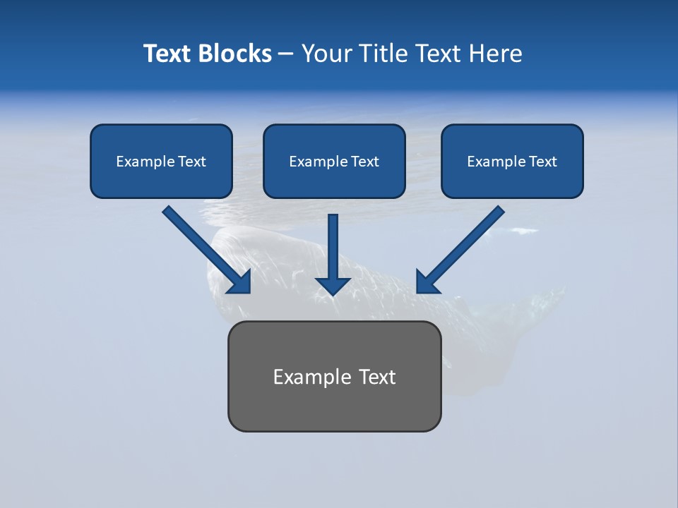 Under Salt Sri PowerPoint Template