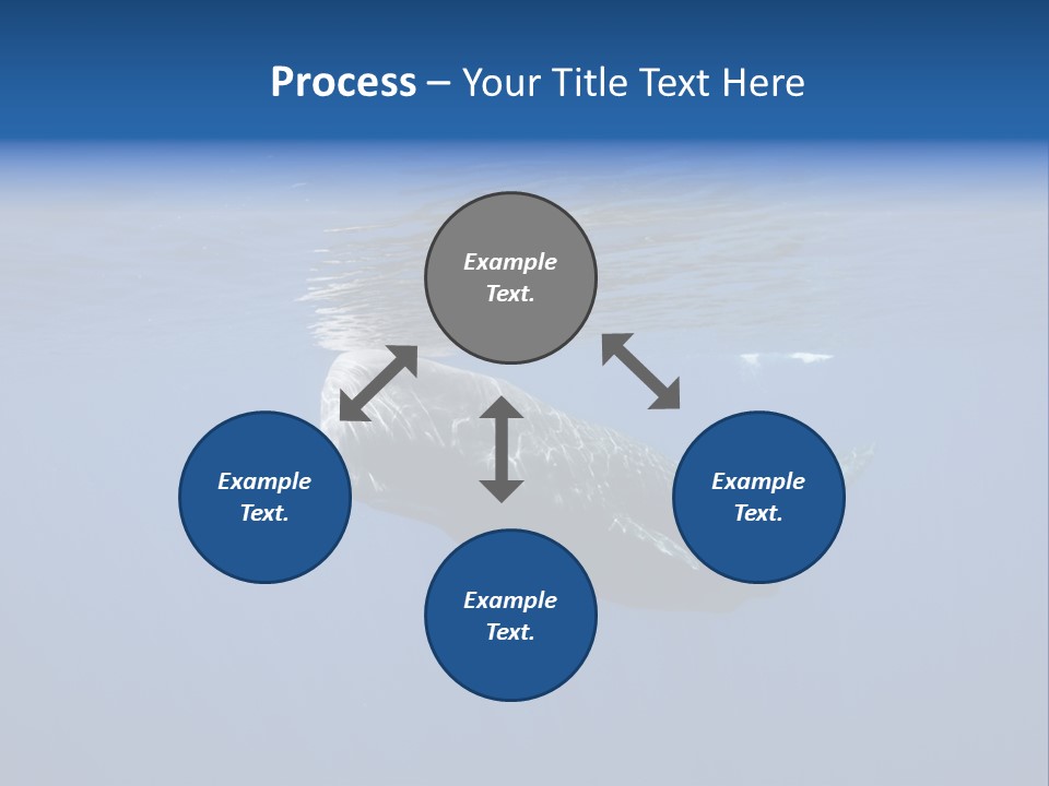 Under Salt Sri PowerPoint Template