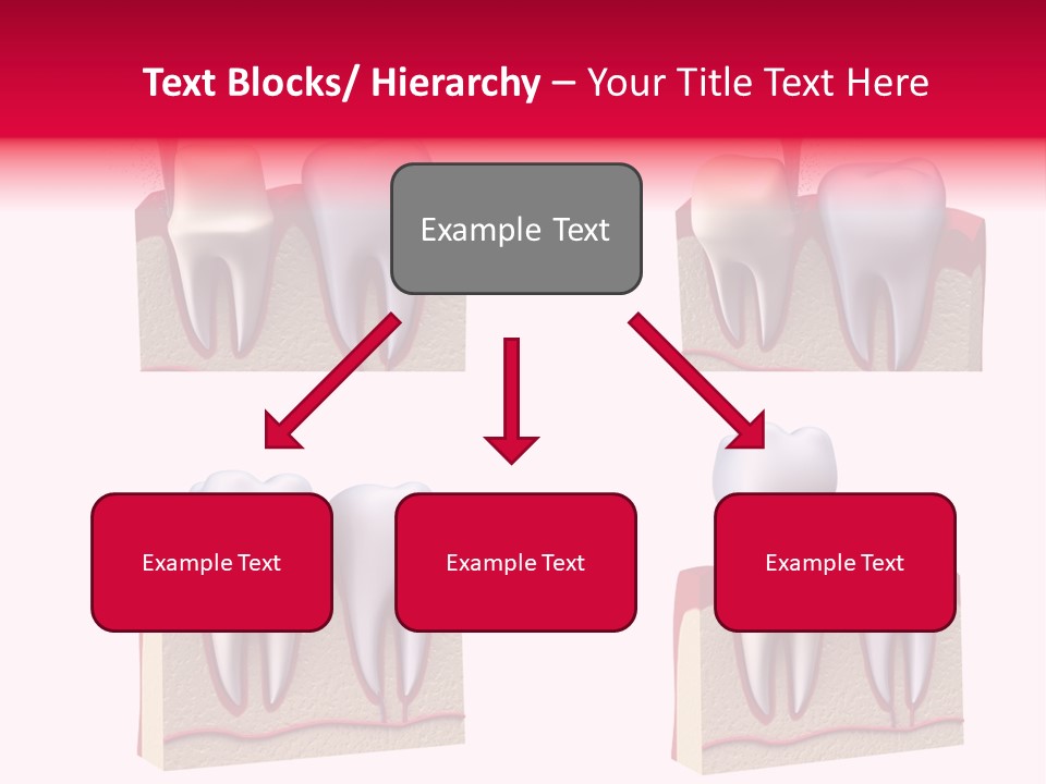 Orthodontic Lab Safeguard PowerPoint Template