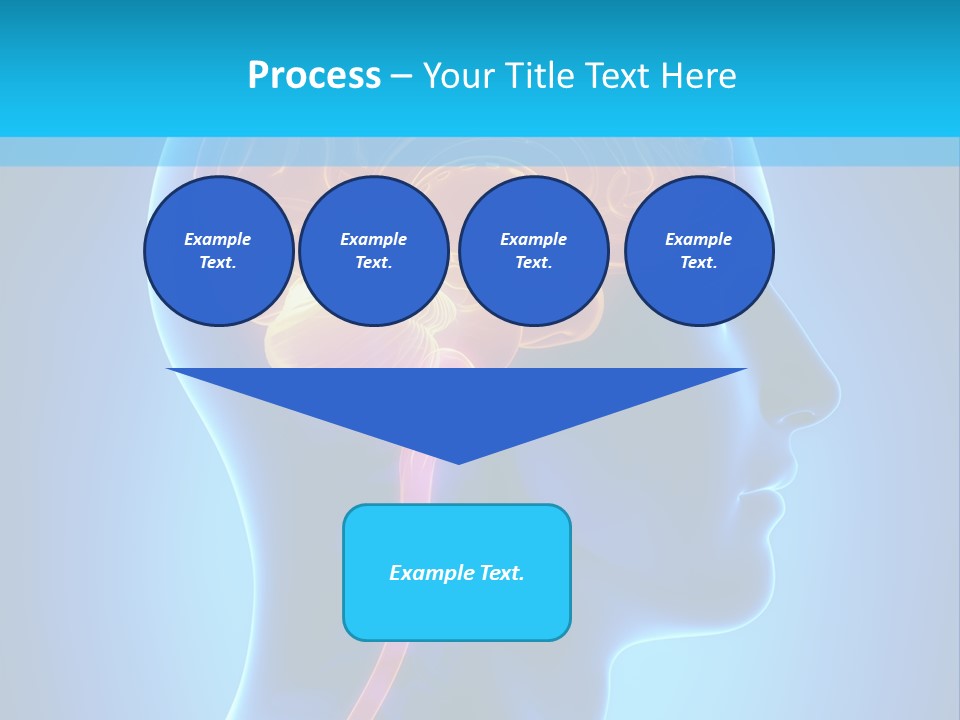 Diagnose Front Corpus Midbrain PowerPoint Template