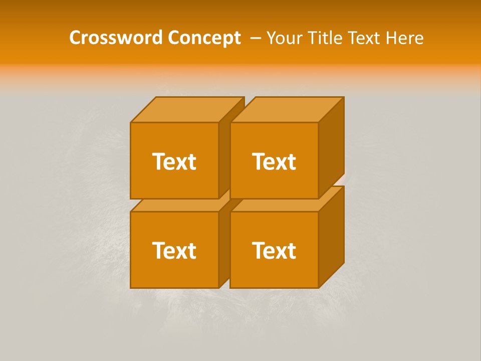 Eagle Head Close Up Eagle Owl PowerPoint Template
