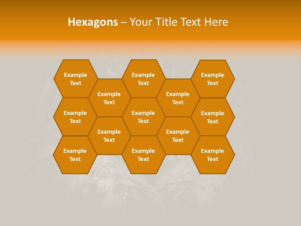 Eagle Head Close Up Eagle Owl PowerPoint Template