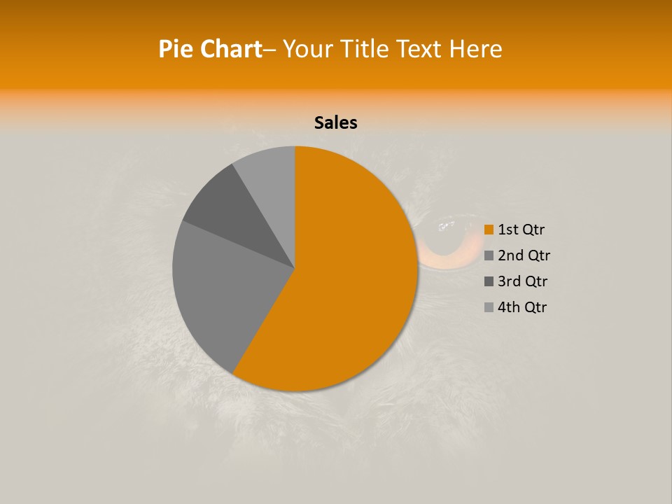 Eagle Head Close Up Eagle Owl PowerPoint Template
