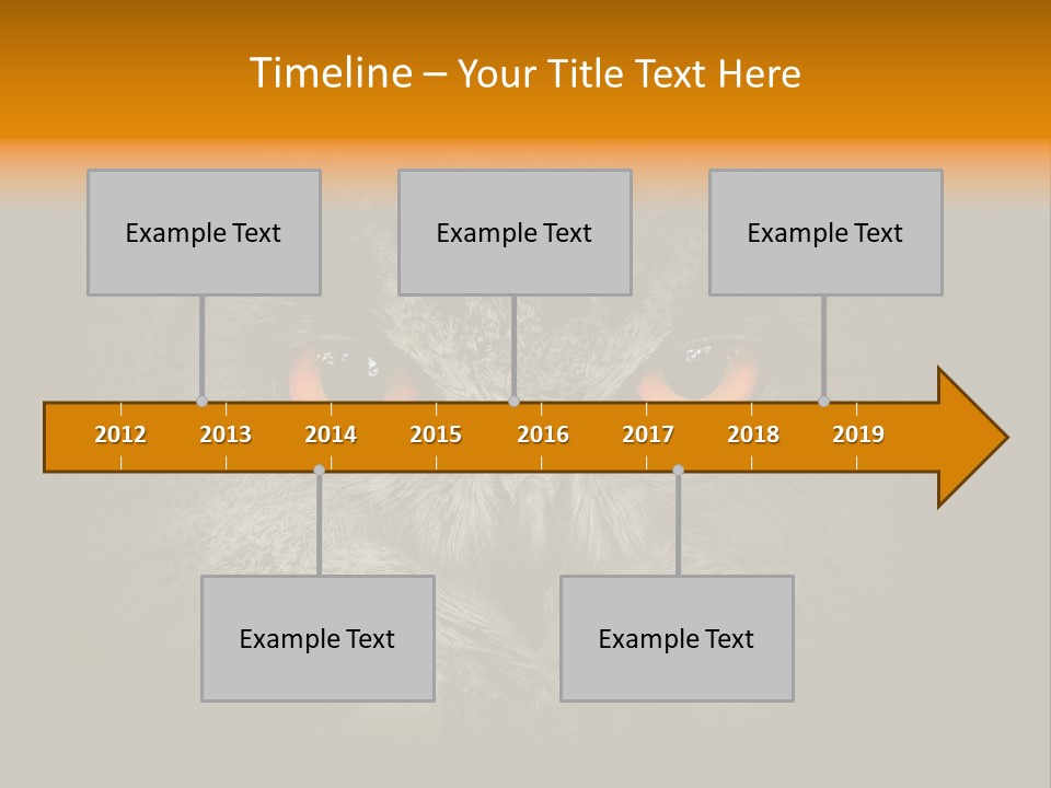 Eagle Head Close Up Eagle Owl PowerPoint Template
