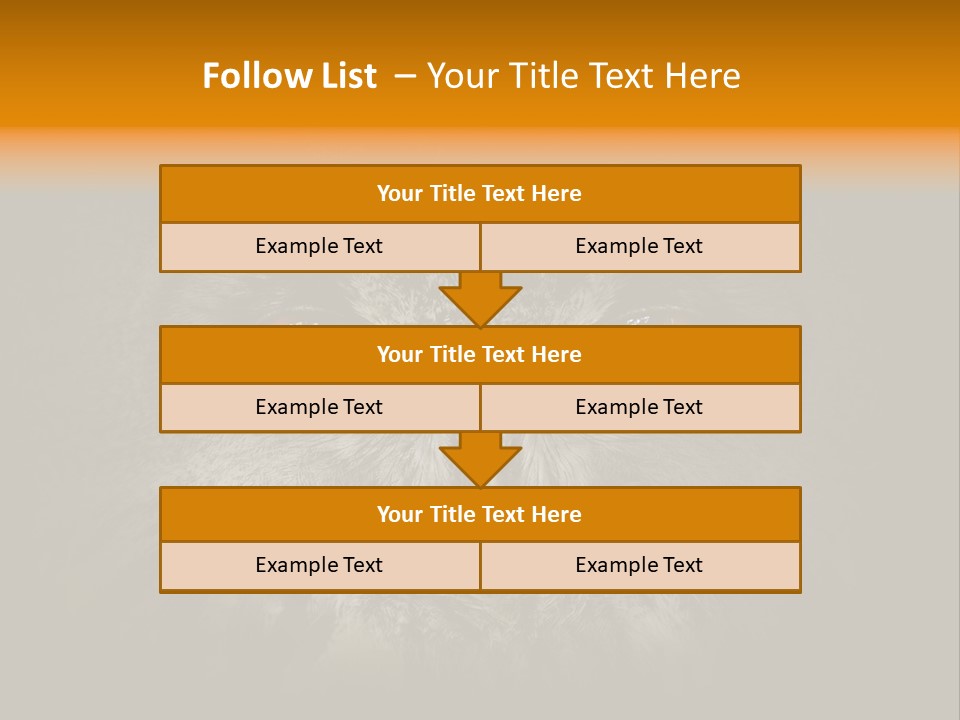 Eagle Head Close Up Eagle Owl PowerPoint Template